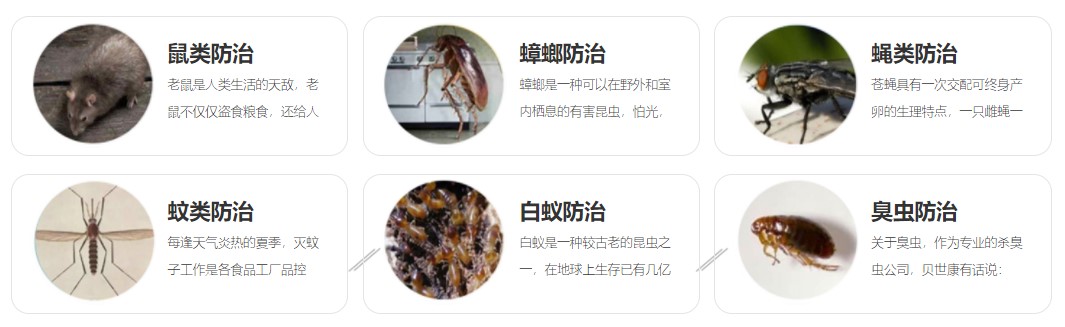 12056511_子頁面banner.jpg